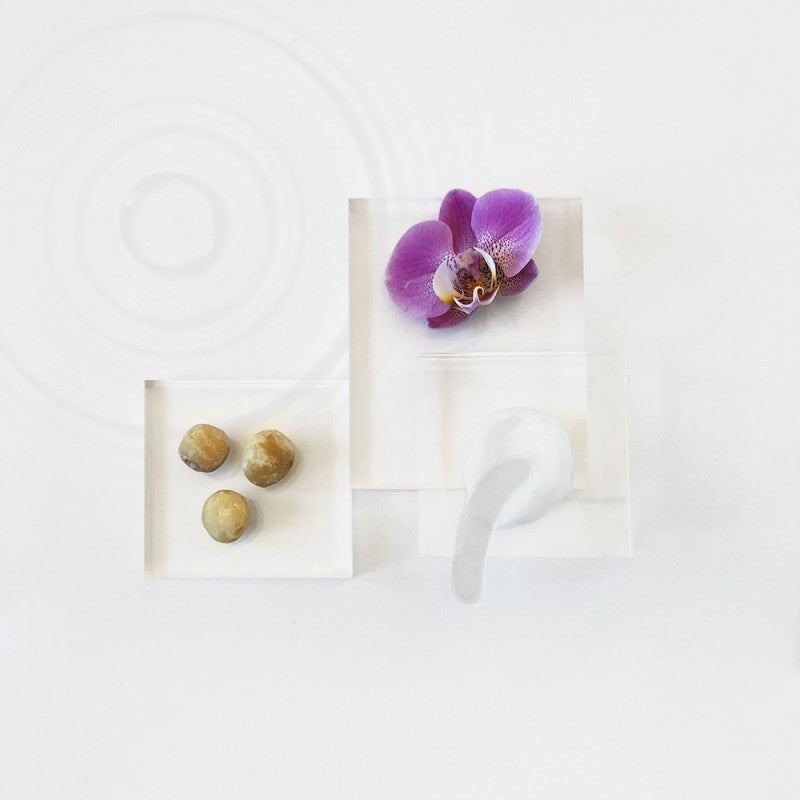 creme-orchidea-1.jpg